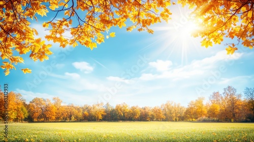 Autumn park, golden leaves, sunny day, nature background, perfect fall