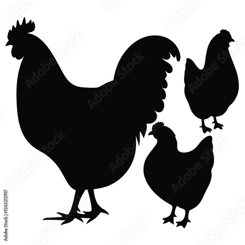 vector illustration of a chicken