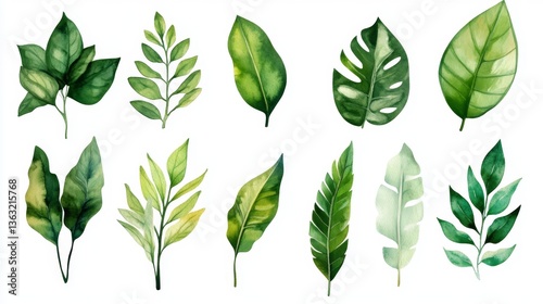 Vibrant green leaves display nature botanical art studio aesthetic watercolor illustrations for home decor