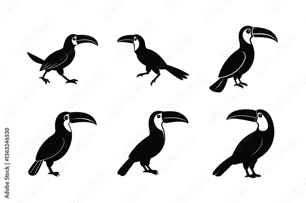 Fototapeta premium Toucan silhouette vector Bundle illustration