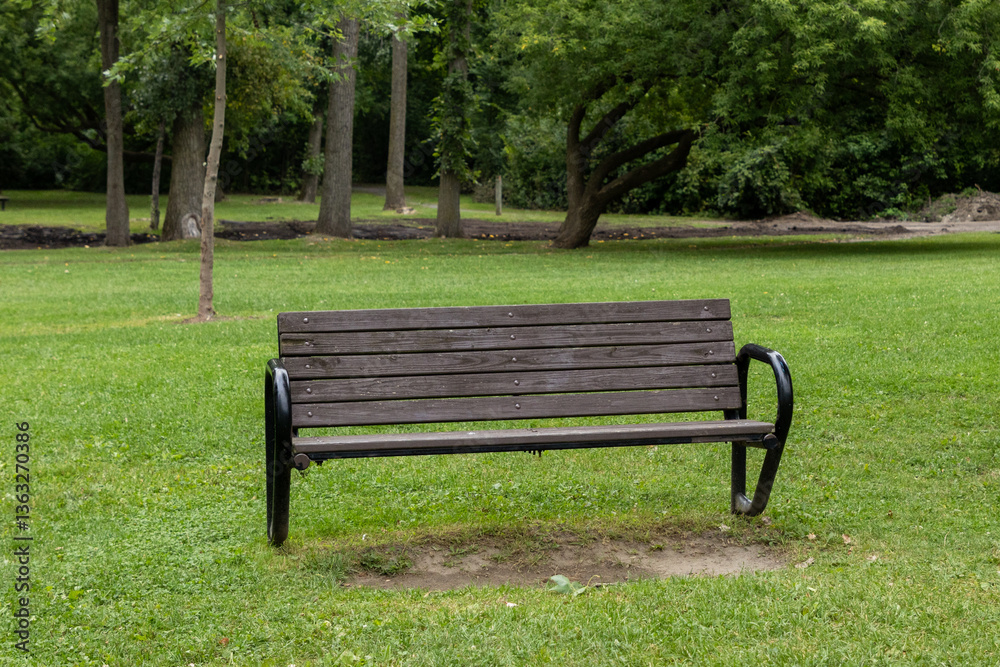 Bench in public park with green grass in summer. Bench in public park with green grass in summer.
