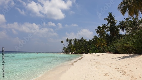 A Tropical Paradise: Turquoise Waters Framed by Palm Trees on a Sandy Beach