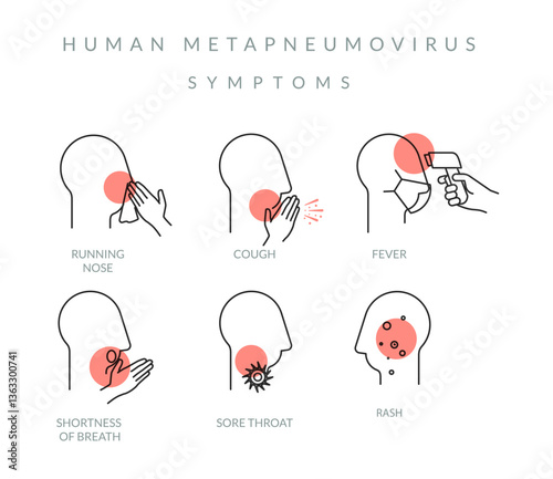 Human Metapneumovirus (HMPV) - Key Symptoms - Stock Illustration