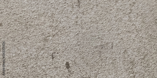 Abstract white grunge dust texture concrete wall on white background Vector for banner and business.