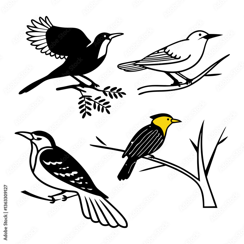 set of birds set of birds