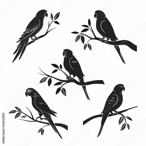 budgerigar icon set black silhouette vector bundle