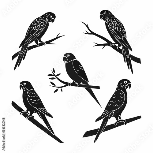 budgerigar icon set black silhouette vector bundle