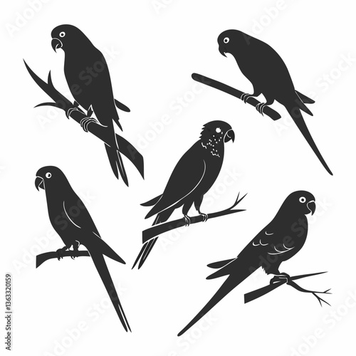 budgerigar icon set black silhouette vector bundle