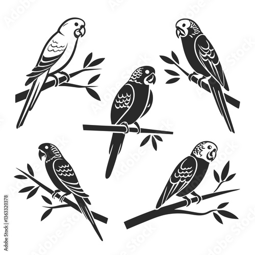 budgerigar icon set black silhouette vector bundle