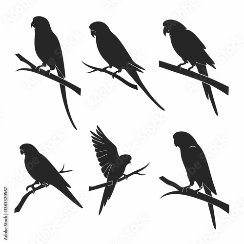 budgerigar icon set black silhouette vector bundle