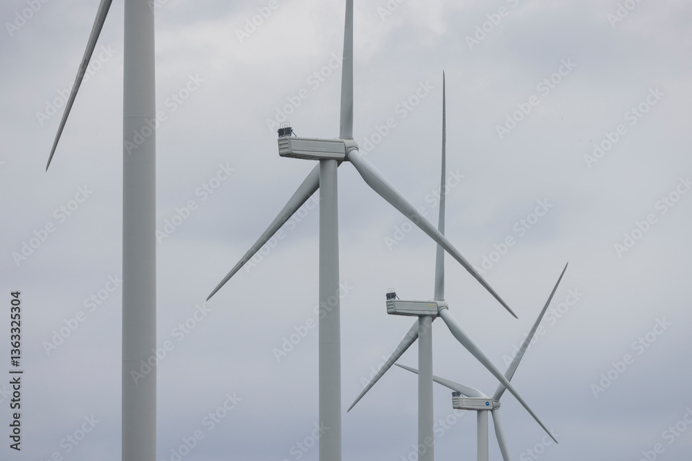 Fototapeta premium wind turbines in the field
