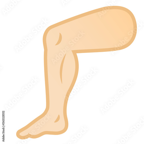 Leg
