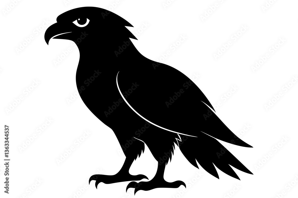Fototapeta premium tailed hawk black silhouette vector