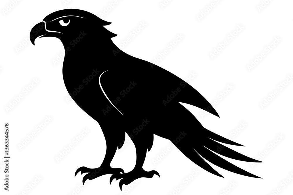 Obraz premium tailed hawk black silhouette vector