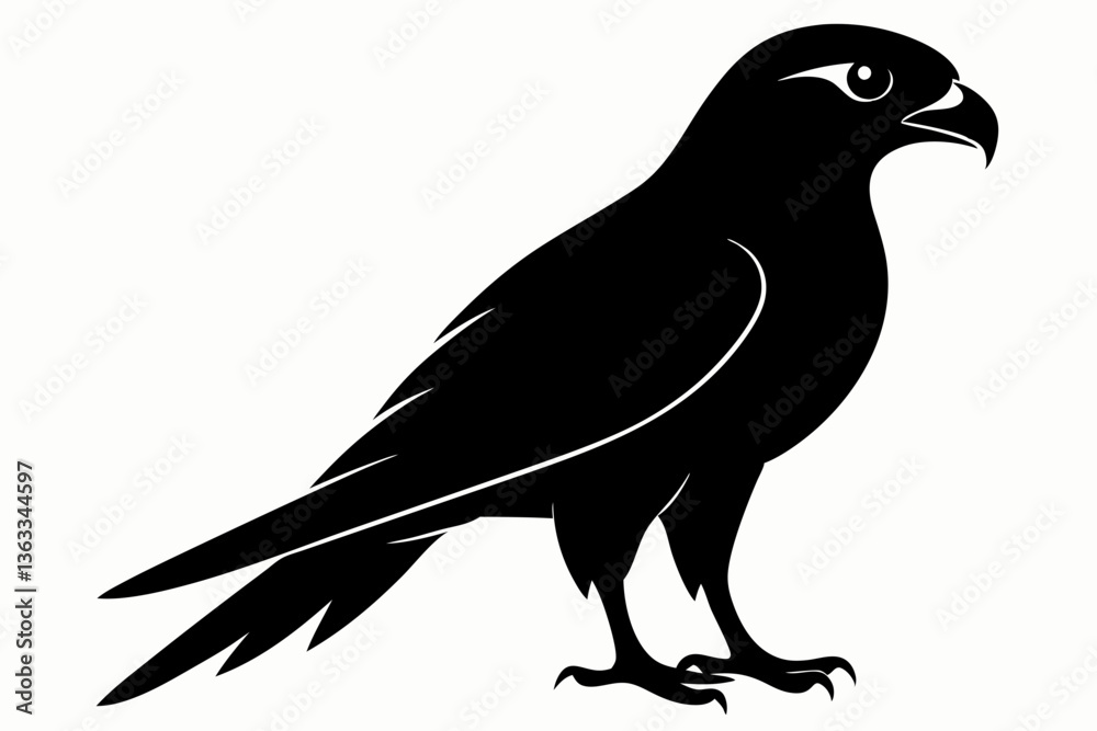 Fototapeta premium tailed hawk black silhouette vector