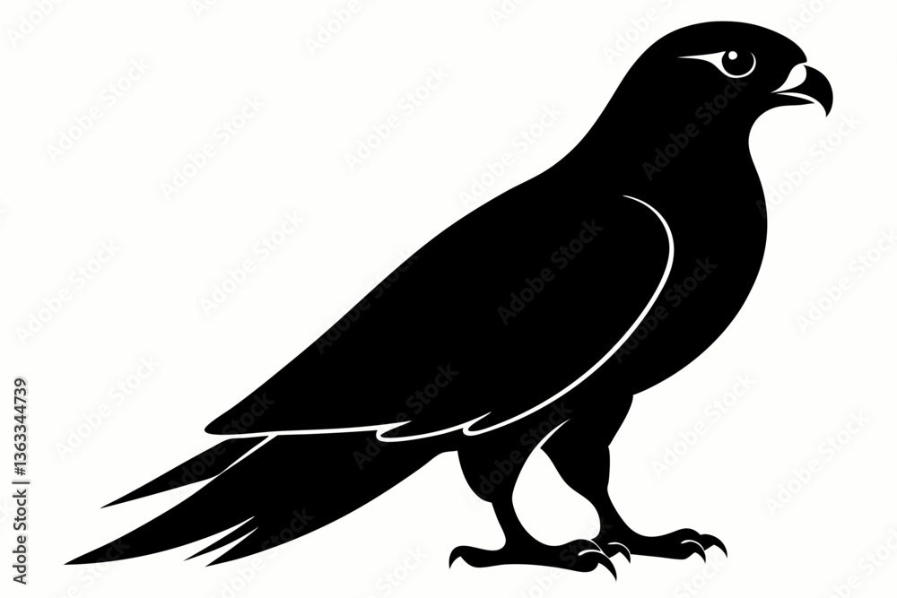 Fototapeta premium tailed hawk black silhouette vector