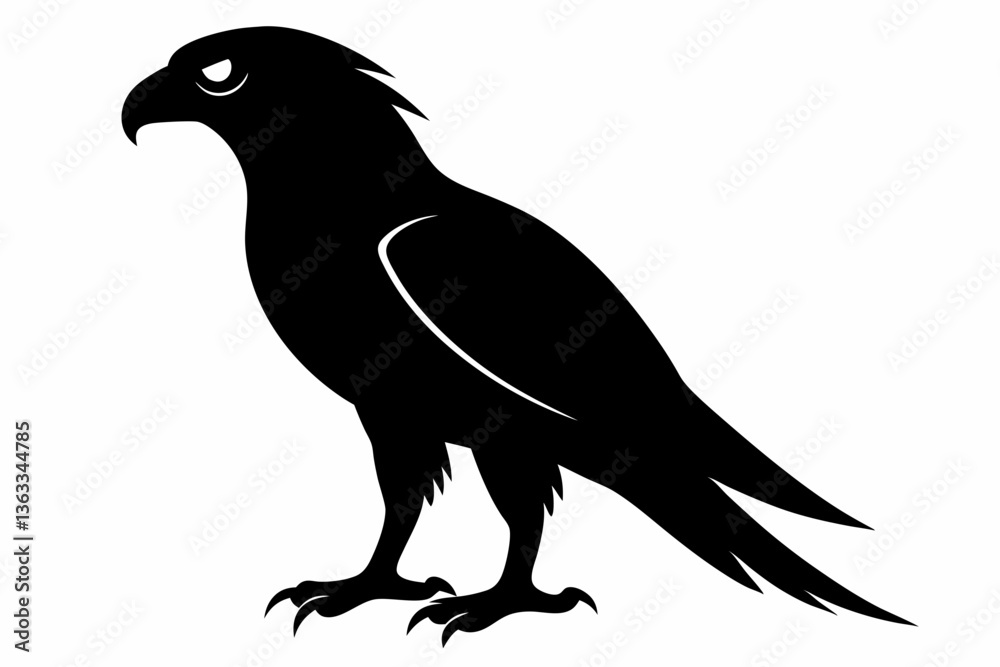 Fototapeta premium tailed hawk black silhouette vector