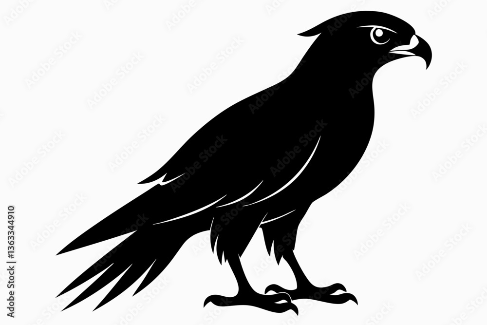 Obraz premium tailed hawk black silhouette vector