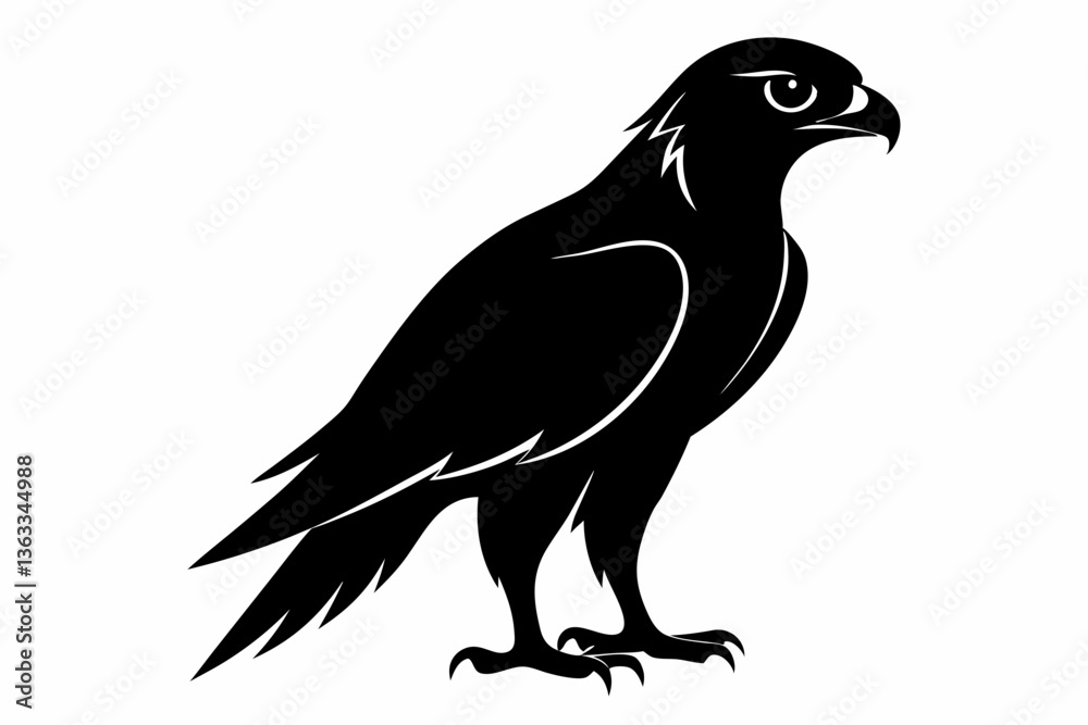Fototapeta premium tailed hawk black silhouette vector