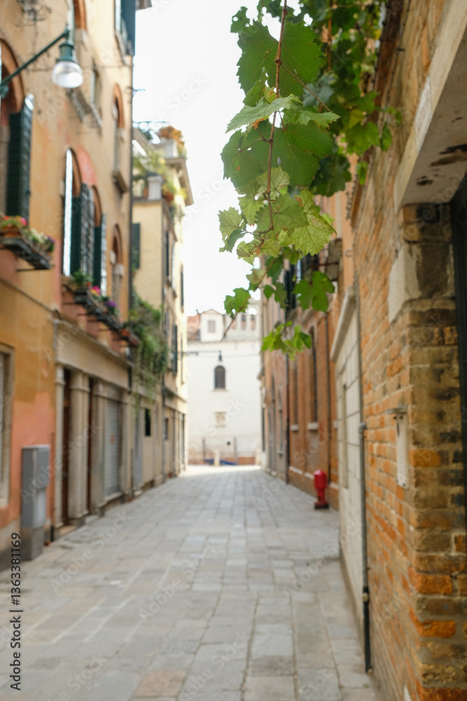 Fototapeta premium narrow street in the old town