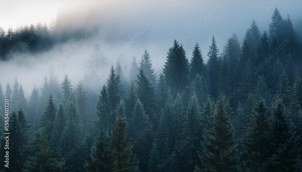 fog in the mountains fog in the mountains