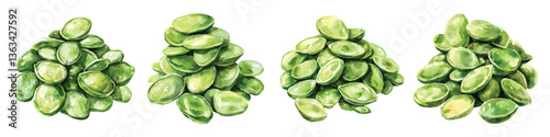Set watercolor pile stack of green pumpkin seeds isolated on transparent background