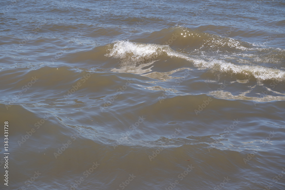 oleaje del mar en el golfo de méxico oleaje del mar en el golfo de méxico