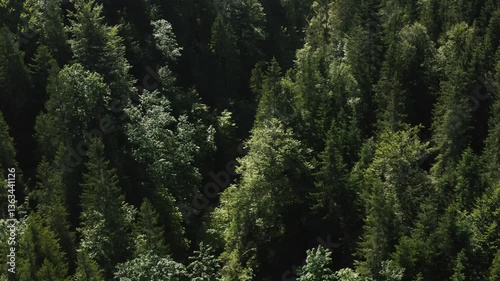 Drone aerial video with a mountain stream passing through forest in the Bavarian Alps, Germany

