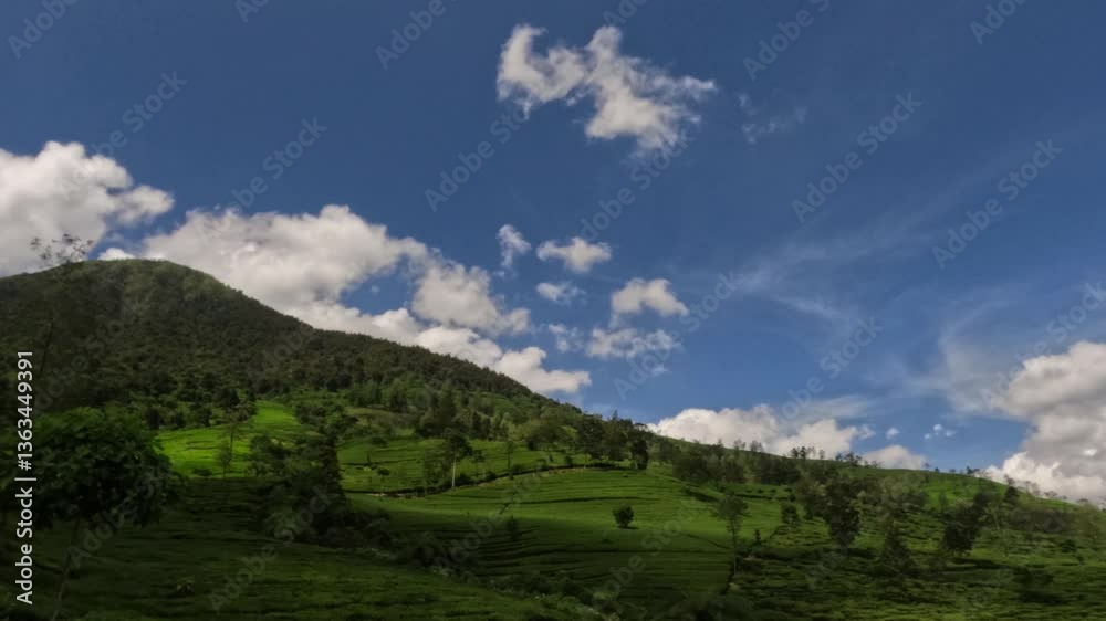 Timelapse of white clouds on the hills of tea plantations. The movement of clouds creates light and shadow effects. Ecological and environmental concepts. Related to climate and weather. 4K footage Timelapse of white clouds on the hills of tea plantations. The movement of clouds creates light and shadow effects. Ecological and environmental concepts. Related to climate and weather. 4K footage
