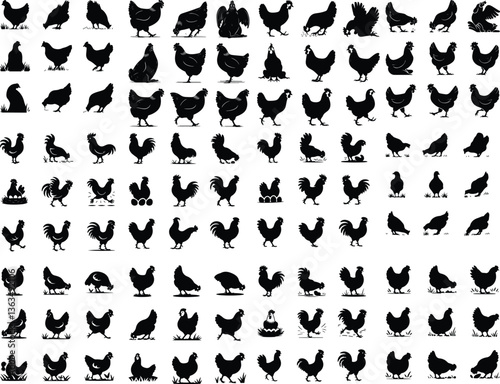 Set of vector rooster and chicken black silhouettes isolated on white background. Domestic animals silhouette of a chicken on white Set of hen silhouette, chicken silhouettes Set of vector chicken bla