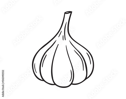 garlic doodle hand drawn icon. Outline drawing garlic line clipart symbol