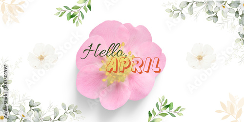 Beautiful Text And Foliage Hello April on Transparent Background Illustration Vector. Hello April Postcard Banner Cover. Elegant, Floral, Springtime, Typography, Closeup, Cute, Pink, Greeting