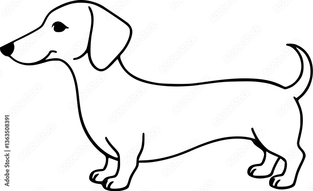 Outline illustration of a dachshund adorable long-body dog design vector art