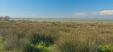 wetland landscape in the Camargue near Saintes Maries de la Mer in south France