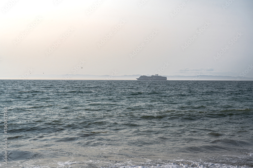 Cruise Ship in the Strait of Juan de Fuca in the Salish Sea