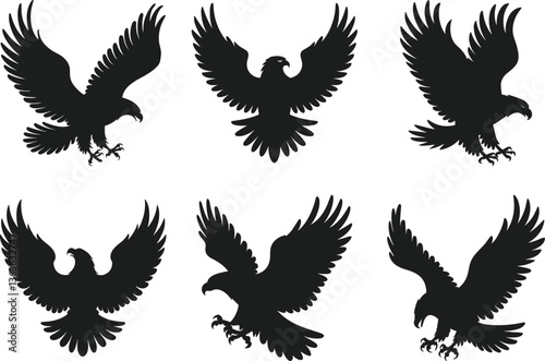Set of Majestic Eagle Silhouettes – American Symbol of Freedom and Strength