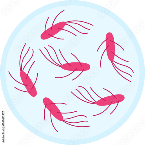 Salmonella icon