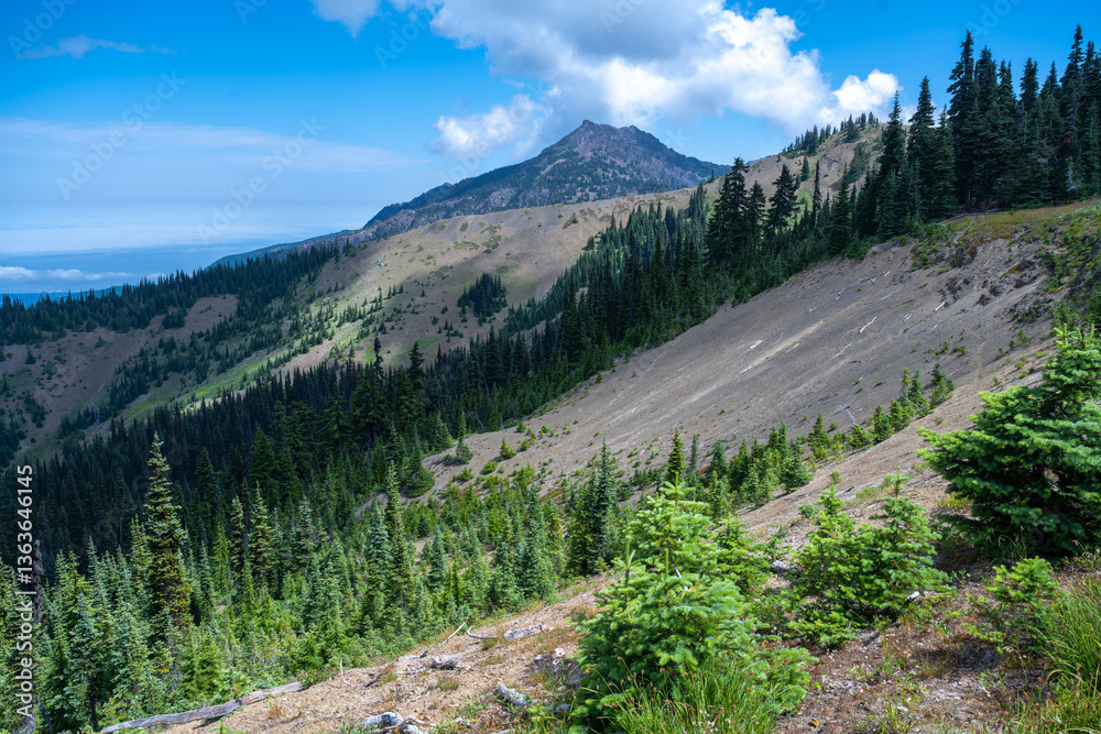 View from the Hurricane Ridge, Olympic National Park, WA