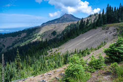 Obraz na płótnie View from the Hurricane Ridge, Olympic National Park, WA w salonie