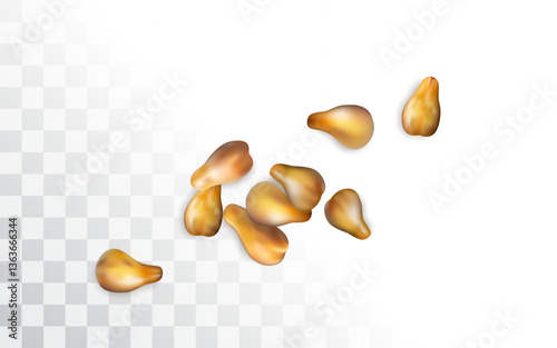 Grape seeds falling on white background top view, grapeseeds pile for skincare cosmetic