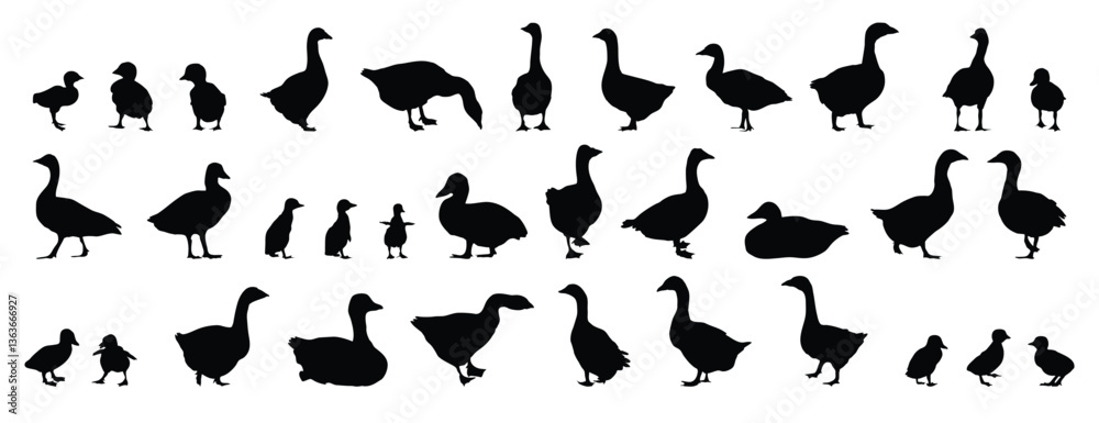 goose and gosling silhouette set. goose and gosling isolated farm animal silhouette icon vector collection