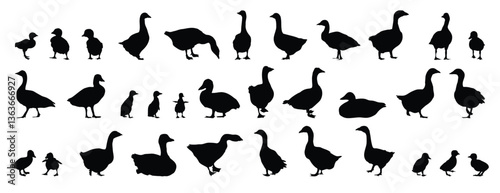 goose and gosling silhouette set. goose and gosling isolated farm animal silhouette icon vector collection