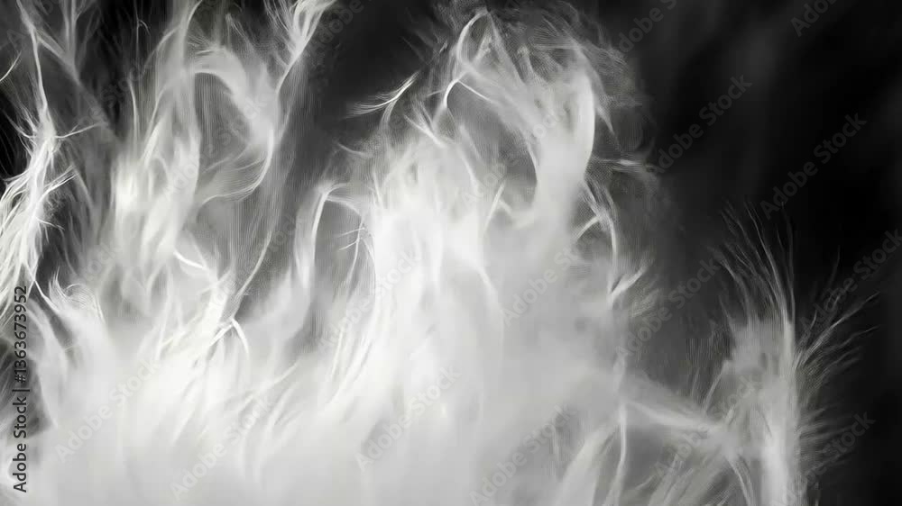 Ethereal lightness White feathers against dark backdrop, creating soft, flowing patterns and delicate textures