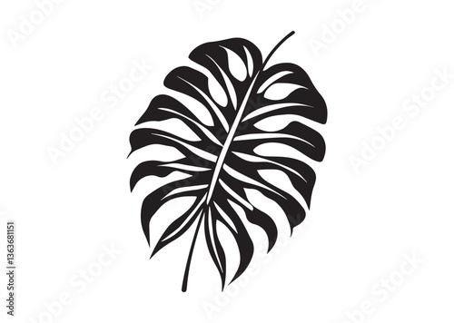Tropical leaf silhouette vector