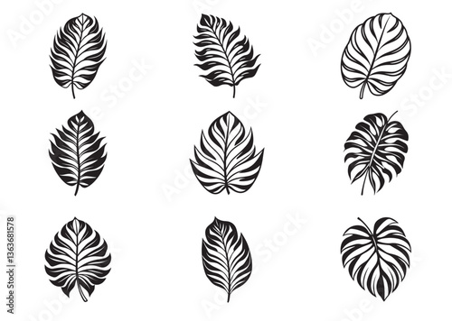 Tropical leaf silhouette vector Set