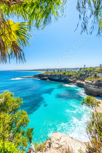 Secluded tropical cove with vibrant turquoise water, framed by lush foliage under a clear blue sky