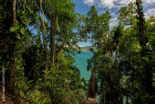 Vista da Trilha das sete praias Lagoinha Ubatuba/SP