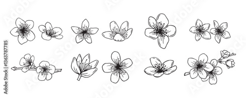 Outline sakura flowers blossom set. hand drawn doodle sakura flower line icons collection. Realistic floral bloom for spring japanese or chinese design