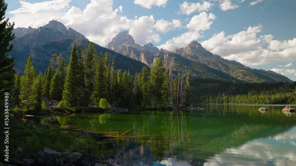 Calm lake in the mountains tall forest trees under summer cloud skies Calm lake in the mountains tall forest trees under summer cloud skies