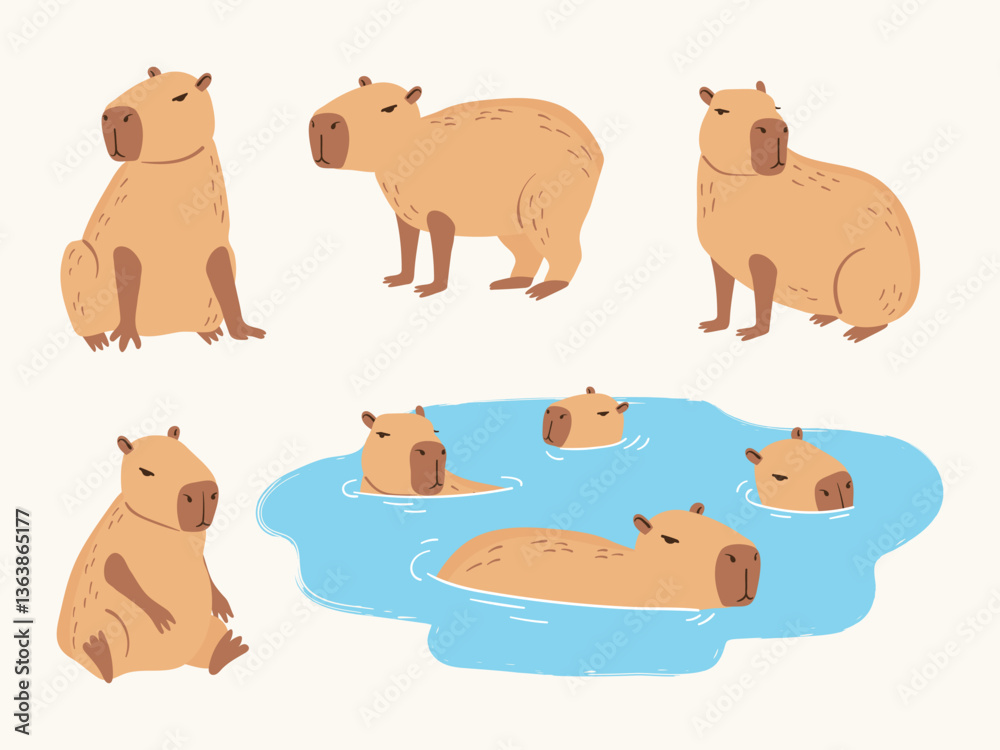 Obraz premium Capybara cute set. Vector illustration of cartoon swimming capybaras